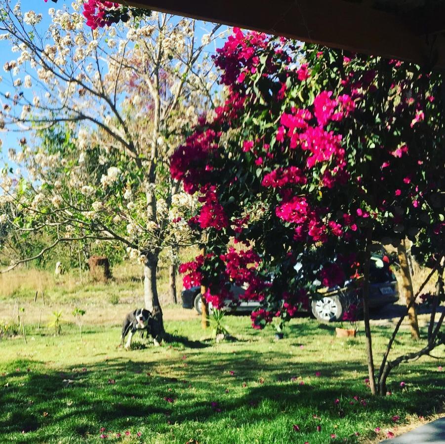 Reserva Jasmim Manga Villa Pirenopolis Bagian luar foto