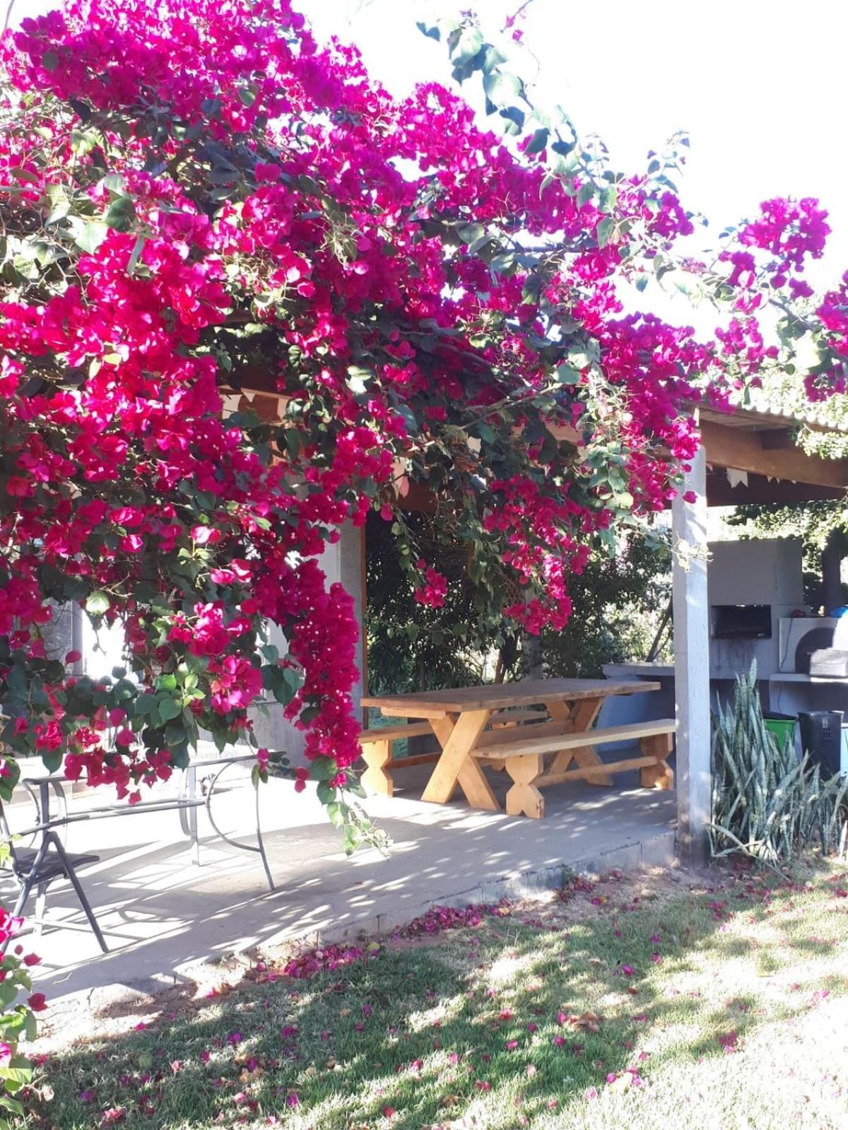 Reserva Jasmim Manga Villa Pirenopolis Bagian luar foto